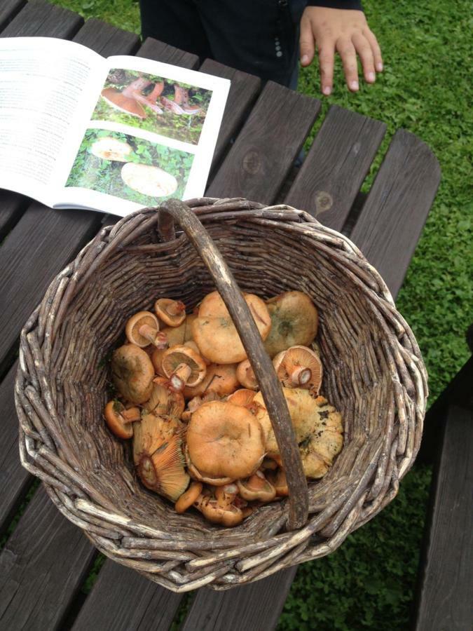 Horský Penzion Černava Horní Malá Úpa Esterno foto